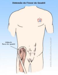 Alongamentos de Pernas -   Flexores do quadril, Dor nas costas,  Músculos do quadril